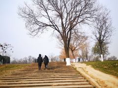 -汉长安城未央宫国家考古遗址公园