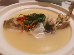 养颜白汁河豚-肆月河豚·新淮扬(金融街店)