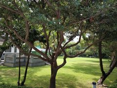 -复旦大学附属华山医院(总院)