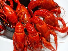 清蒸龙虾【普通】-日食记精菜馆(建邺万达店)