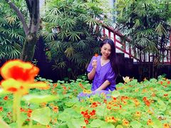 -南山植物园