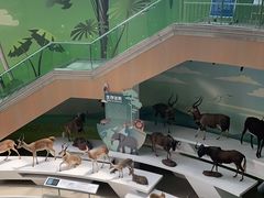 -陕西自然博物馆