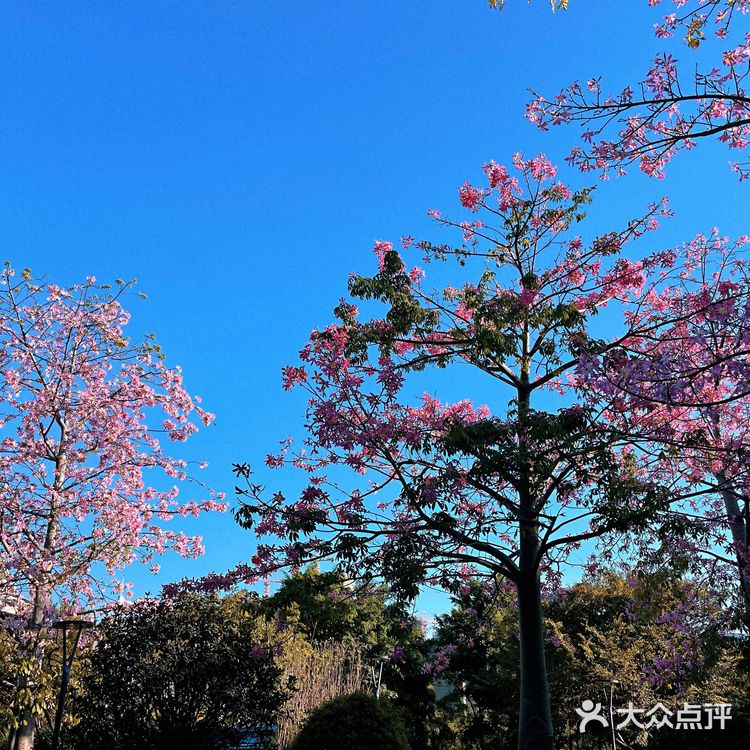 ❤️〖必打卡经景点----厦门最大湿地公园〗
