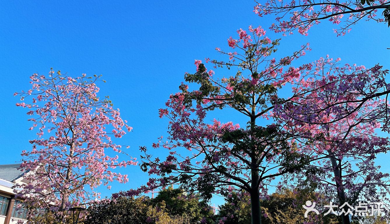 ❤️〖必打卡经景点----厦门最大湿地公园〗