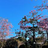 ❤️〖必打卡经景点----厦门最大湿地公园〗