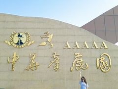 -盐城丹顶鹤湿地生态旅游区