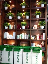 -PE SALON