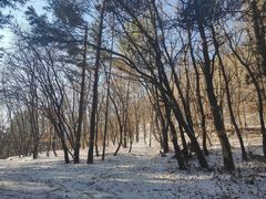 -帽儿山国家森林公园