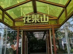 -南宫五洲植物乐园