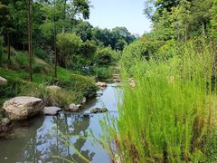 -云溪植物园