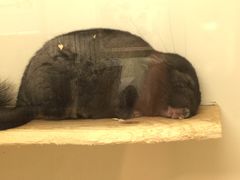 -龙猫仔乐园(惠福东路店)