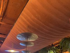-滇野云南野生菌餐厅(陕西南路店)