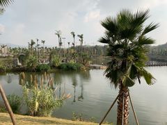 -枫香湖儿童公园