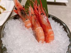 甜虾刺身-大渔铁板烧(大悦城店)