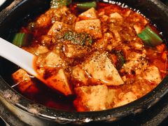 -陈麻婆豆腐总店