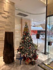 -丽妍雅集 Rubis SPA