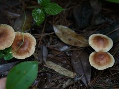 -黔灵山公园