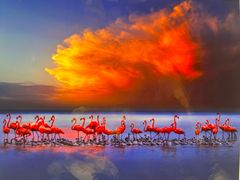 -罗红摄影艺术馆