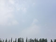 -上海海湾国家森林公园