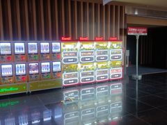 -华谊兄弟影院(IMAX洋桥店)