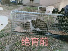 -萌兽医馆·眼科·异宠专科(三里屯店)