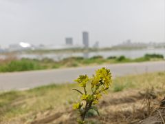 -品忆香炒货工坊(西稍门店)