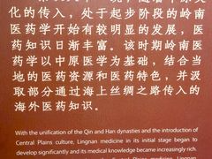 -广东中医药博物馆