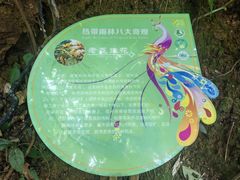 -西双版纳原始森林公园