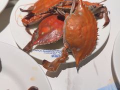 -星伦多 自助料理(圆融店)