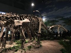 -自贡恐龙博物馆
