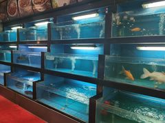 水产区-大鸽饭(马王堆店)