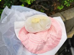 -澳门长洲糯米糍(柯打苏沙街店)