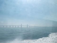 -港珠澳大桥码头