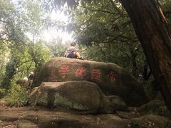 -灵岩山风景区
