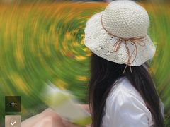 -海珠湖公园
