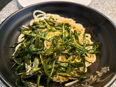 -虹桥机场国航贵宾室v8