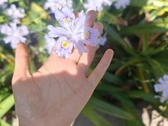 -中国大熊猫保护研究中心雅安碧峰峡基地