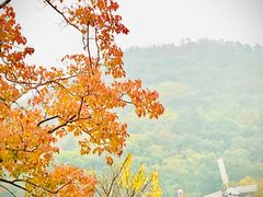 -东海半边山旅游度假区