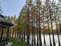 -南京银杏湖乐园