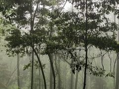 -青城山