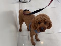 -美联众合动物医院·24h京西诊疗中心