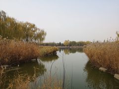-燕郊植物园