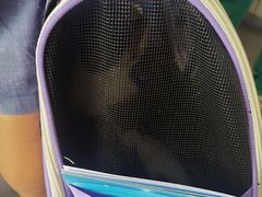 -瑞派宠物医院·犬猫全科·猫友好(宾水西道店)