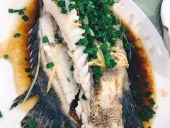 清蒸石斑鱼-源海渔村·现捞海鲜(大角湾店)