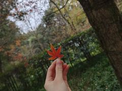 -杭州植物园