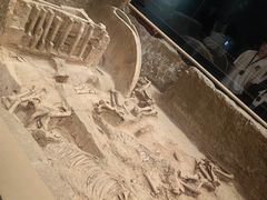 -秦始皇帝陵博物院(兵马俑)