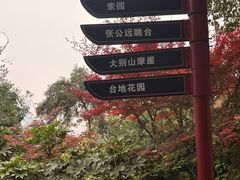 -龟山风景区-龟山电视塔