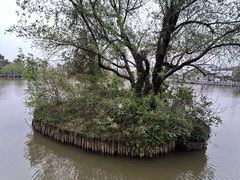 -采石矶景区