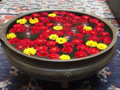 -松赞拉萨林卡酒店