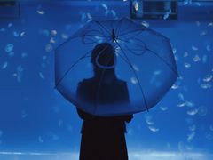 -多彩贵州城极地海洋世界